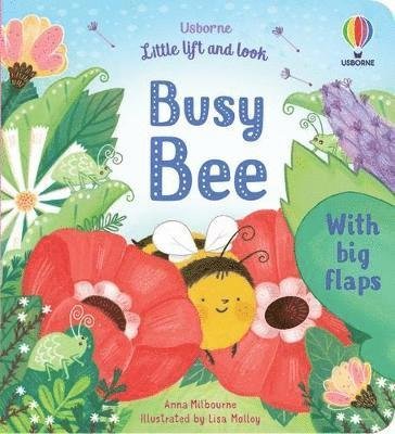 Cover for Anna Milbourne · Little Lift and Look Busy Bee - Little Lift and Look (Kartonbuch) (2022)