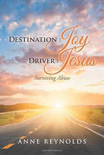 Cover for Anne Reynolds · Destination Joy, Driver Jesus (Paperback Book) (2016)