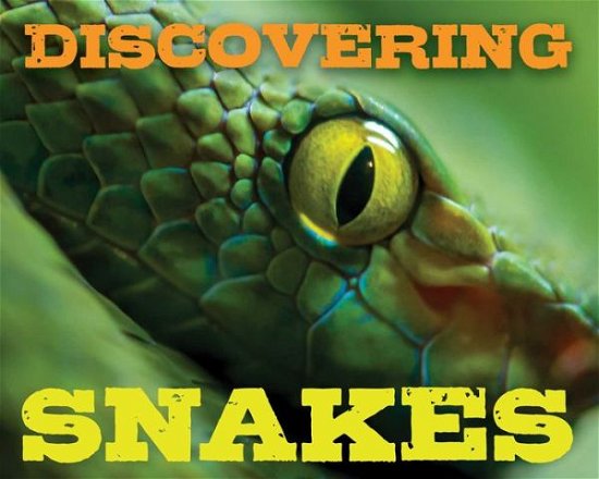 Cover for Cider Mill Press · Discovering Snakes Handbook (Hardcover Book) (2023)