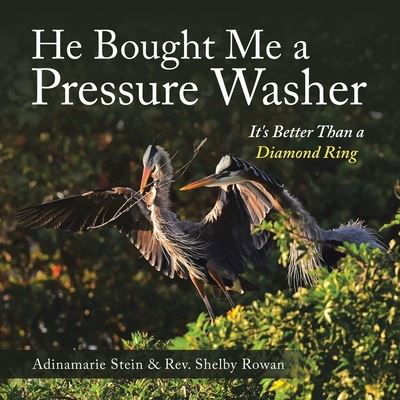Cover for Adinamarie Stein · He Bought Me a Pressure Washer (Book) (2022)