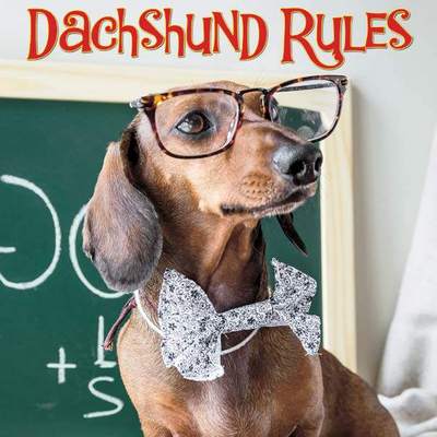 Cover for Willow Creek Press · Dachshund Rules (Hardcover Book) (2017)