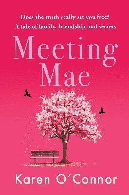 Cover for Karen O'Connor · Meeting Mae (Paperback Bog) (2024)