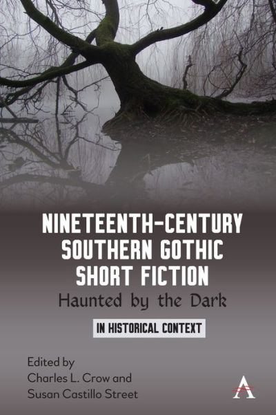Cover for Nineteenth-Century Southern Gothic Short Fiction: Haunted by the Dark - Anthem Studies in Gothic Literature (Paperback Book) (2021)