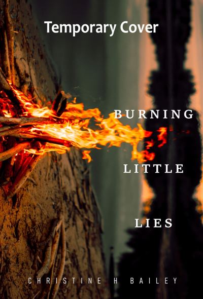 Cover for Christine H. Bailey · Burning Little Lies (Paperback Book) (2024)