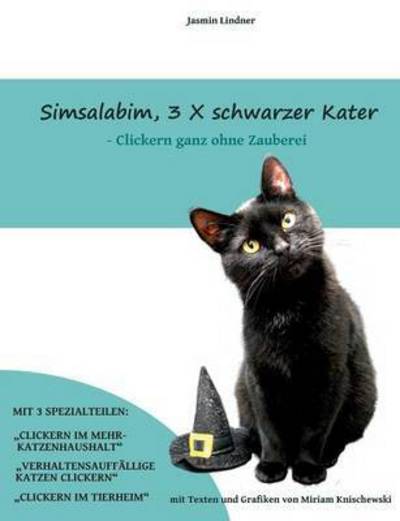 Simsalabim, 3 X schwarzer Kater - Lindner - Books -  - 9783743176744 - January 17, 2017