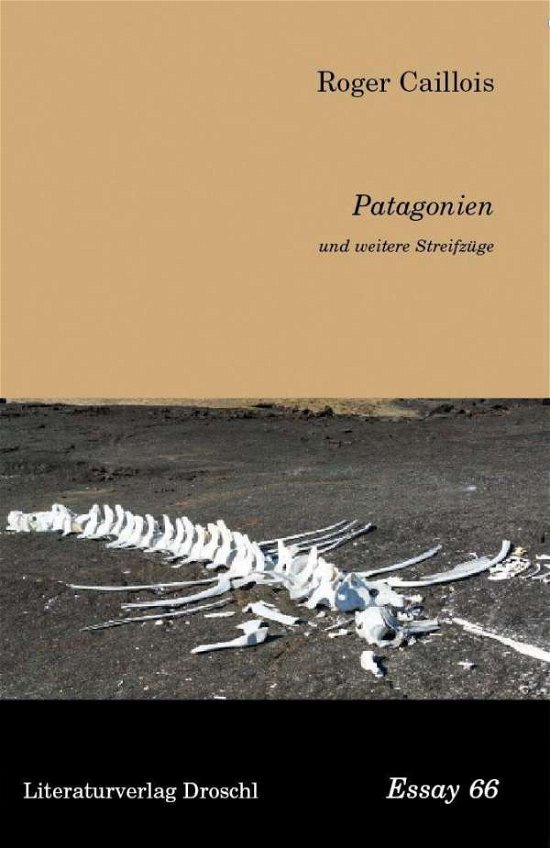 Cover for Roger Caillois · Patagonien Und Weitere StreifzÃ¼ge (Buch)