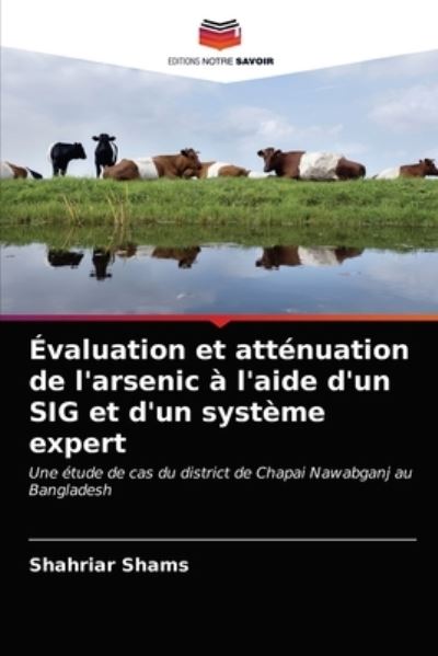 Cover for Shahriar Shams · Evaluation et attenuation de l'arsenic a l'aide d'un SIG et d'un systeme expert (Paperback Book) (2021)