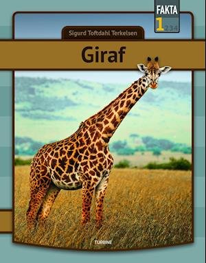 Cover for Sigurd Toftdahl Terkelsen · Fakta 1: Giraf (Hardcover Book) [1. Painos] (2022)