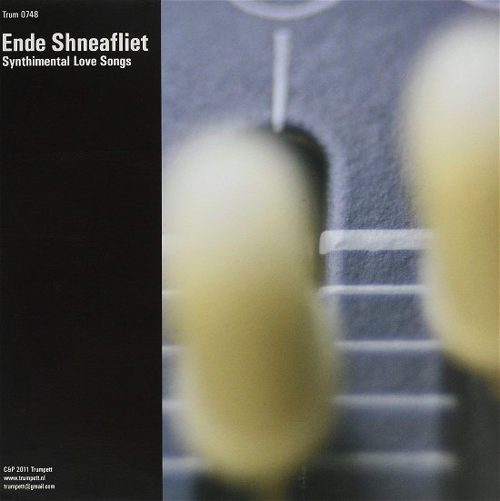 Cover for Ende Shneafliet · Synthimental Love Songs (LP) (2013)