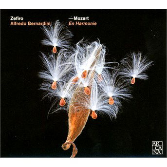 En Harmonie - Mozart - Musiikki - ARCANA - 3760195733745 - tiistai 29. huhtikuuta 2014