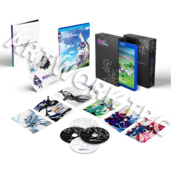 Infinite Dendrogram Complete Series Limited Edition - Anime - Movies - Crunchyroll - 5022366961745 - August 9, 2021