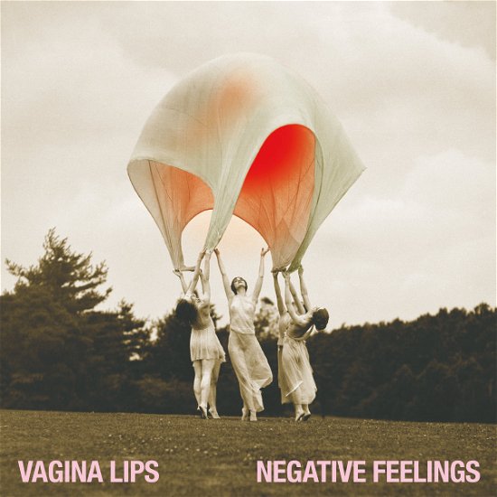 Cover for Vagina Lips · Negative Feelings (LP) (2022)