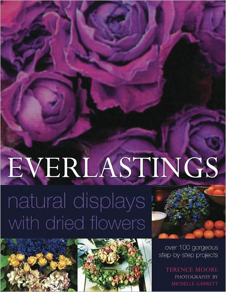 Cover for Terence Moore · Everlastings (Hardcover Book) (2016)