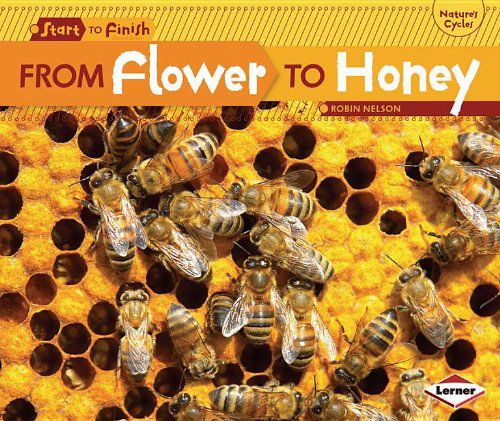 From Flower to Honey (Start to Finish, Second) - Robin Nelson - Böcker - Lerner Publications - 9780761385745 - 2012