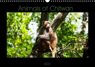 Cover for Fink · Animals of Chitwan (Wall Calendar (Buch)