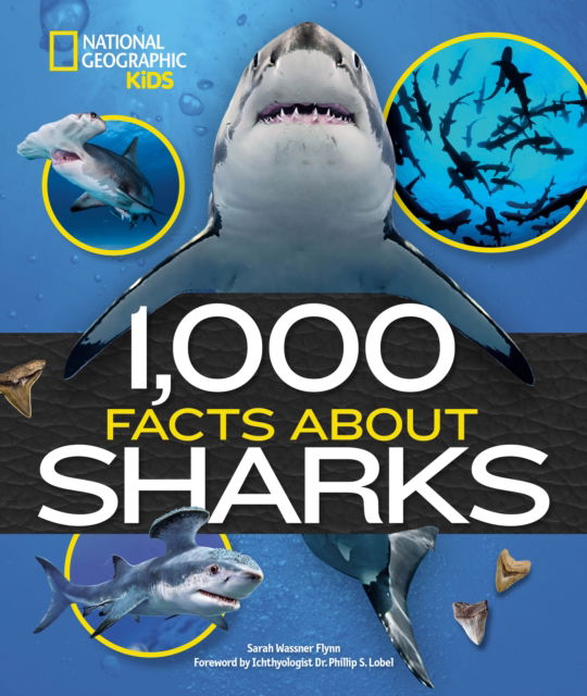 Cover for Sarah Wassner Flynn · 1,000 Facts About Sharks (Inbunden Bok) (2024)