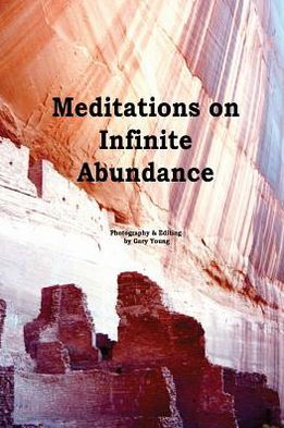 Cover for Gary Young · Meditations on Infinite Abundance (Taschenbuch) (2013)