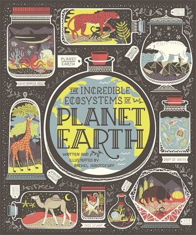 Cover for Rachel Ignotofsky · The Incredible Ecosystems of Planet Earth (Hardcover bog) (2019)