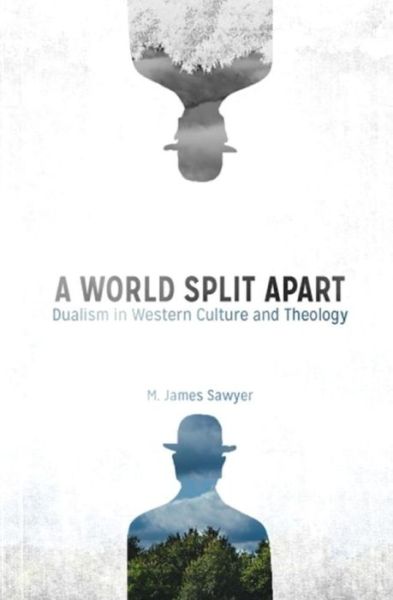 Cover for M James Sawyer · A World Split Apart (Paperback Book) (2016)