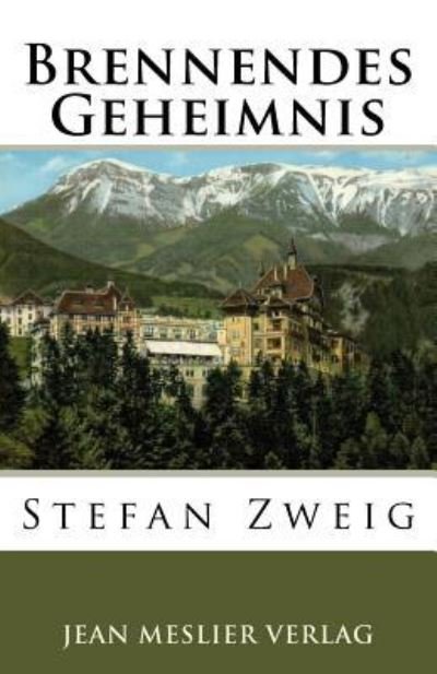 Cover for Stefan Zweig · Brennendes Geheimnis (Paperback Book) (2017)