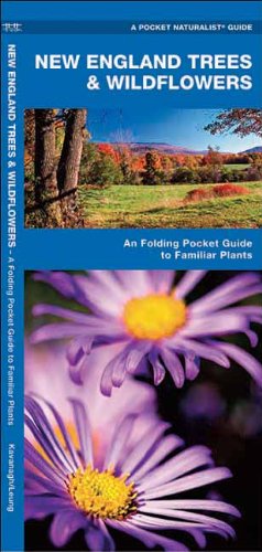 Cover for James Kavanagh · New England Trees &amp; Wildflowers: a Folding Pocket Guide to Familiar Species (Pocket Naturalist Guide Series) (Pamphlet) [1st edition] (2018)