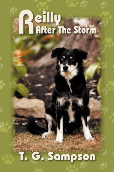 Cover for T G Sampson · Reilly After the Storm (Paperback Bog) (2012)