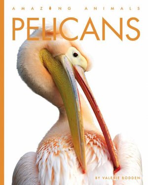 Cover for Valerie Bodden · Pelicans (Bok) (2023)