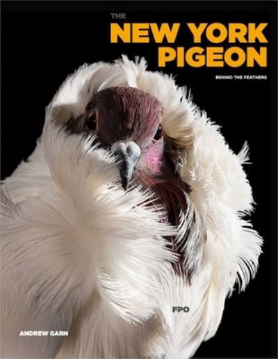 Cover for Andrew Garn · The New York Pigeon (Hardcover Book) (2024)