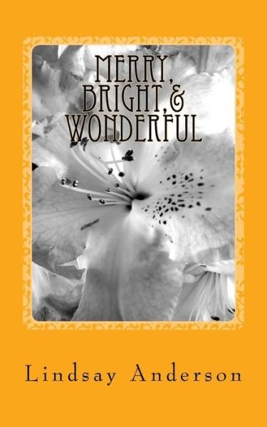 Cover for Lindsay Anderson · Merry, Bright,&amp; Wonderful (Paperback Bog) (2018)