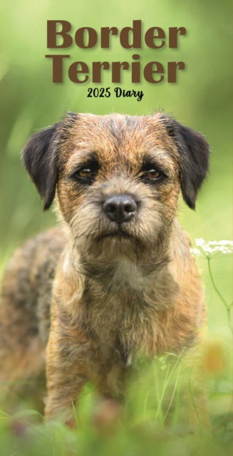 Cover for Carousel Calendars · Border Terriers Slim Diary 2025 (Pocketbok) (2024)