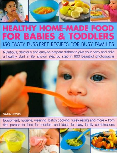 Cover for Sara Lewis · Healthy Home Made Food for Babies and Toddlers (Paperback Book) (2009)