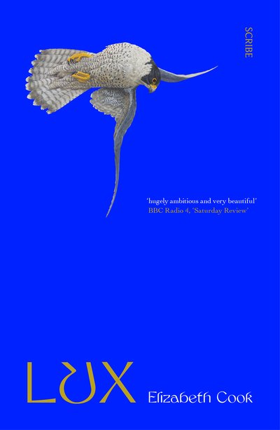 Cover for Elizabeth Cook · Lux: a novel (Paperback Bog) (2021)