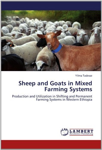 Cover for Yilma Tadesse · Sheep and Goats in Mixed Farming Systems: Production and Utilization in Shifting and Permanent Farming Systems in Western Ethiopia (Pocketbok) (2012)