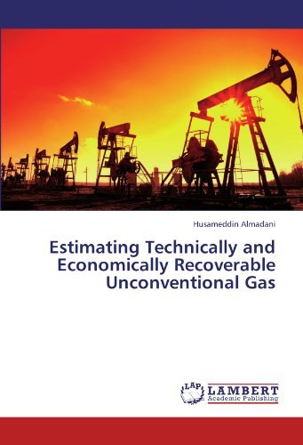 Cover for Husameddin Almadani · Estimating Technically and Economically Recoverable Unconventional Gas (Pocketbok) (2012)
