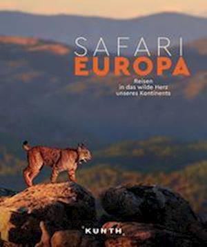 KUNTH Bildband Safari Europa - Martin H. Petrich - Książki - Kunth Verlag - 9783969650745 - 6 września 2022