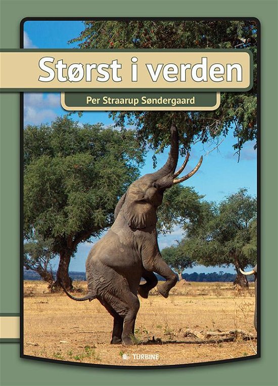Cover for Per Straarup Søndergaard · Størst i verden (Hardcover bog) [1. udgave] (2016)