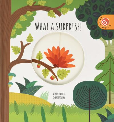 Cover for Gabriele Clima · What a Surprise - Magic Wheels (Hardcover Book) (2020)