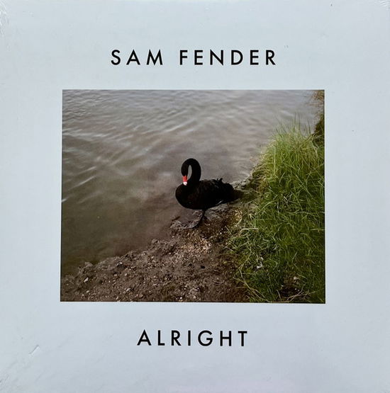 Alright / The Kitchen (Live) (RSD 2022) - Sam Fender - Music - POLYDOR - 0602445323746 - April 23, 2022