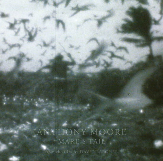 Cover for Anthony Moore · Mare's Tail (LP) (2024)