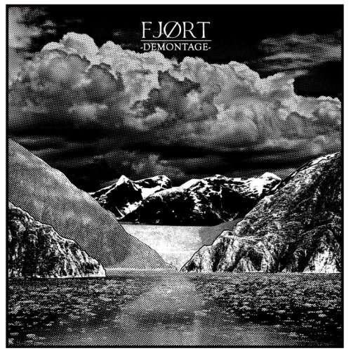 Cover for Fjort · Demontage (CD) (2017)