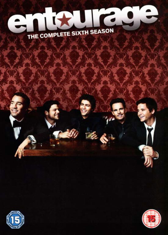 Cover for Entourage · Season 6 (DVD) (2010)