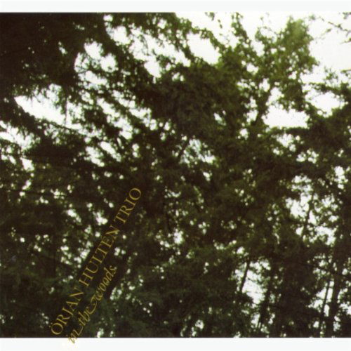 Cover for Hulten Orjan Trio · In The Woods (CD) (2010)