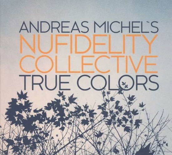 Cover for Andreas Michel · True Colors (CD) (2016)