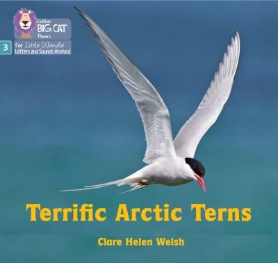 Cover for Clare Helen Welsh · Terrific Arctic Terns: Phase 3 Set 2 - Big Cat Phonics for Little Wandle Letters and Sounds Revised (Paperback Bog) (2022)