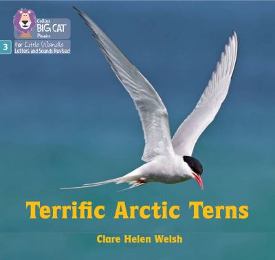 Terrific Arctic Terns: Phase 3 Set 2 - Big Cat Phonics for Little Wandle Letters and Sounds Revised - Clare Helen Welsh - Kirjat - HarperCollins Publishers - 9780008540746 - maanantai 12. syyskuuta 2022