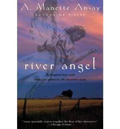 Cover for A. Manette Ansay · River Angel: a Novel (Paperback Book) [First edition] (1999)