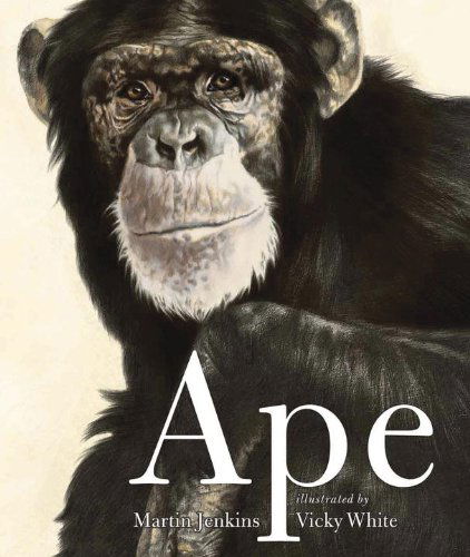 Ape - Martin Jenkins - Books - Candlewick - 9780763649746 - September 14, 2010