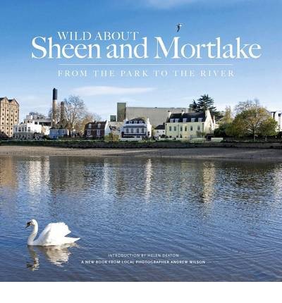 Cover for Andrew Wilson · Wild About Sheen and Mortlake (Hardcover bog) (2013)