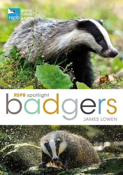 Cover for James Lowen · RSPB Spotlight: Badgers - RSPB (Pocketbok) (2019)