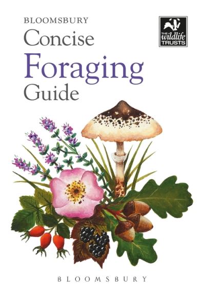 Cover for Tiffany Francis-Baker · Concise Foraging Guide - Concise Guides (Paperback Book) (2021)